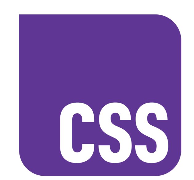 CSS logo